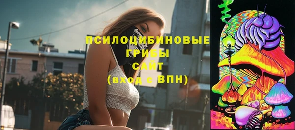 mix Зеленокумск